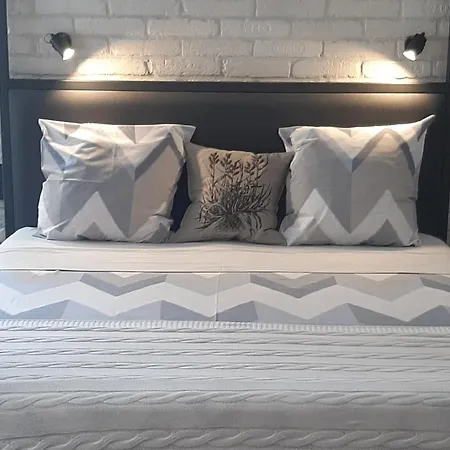 Apartment простора і вишукана в самому серці львова Lviv
