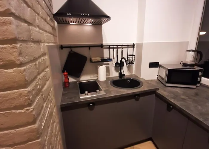 простора і вишукана в самому серці львова Львов